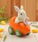Ceramic Bunny Rabbit In Carrot Racecar Salt And Pepper Shakers, Home Décor, Gift for Her or Mom, Kitchen Décor, Spring or Easter Décor